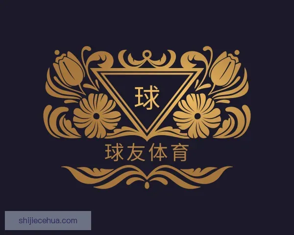 了解球友体育
